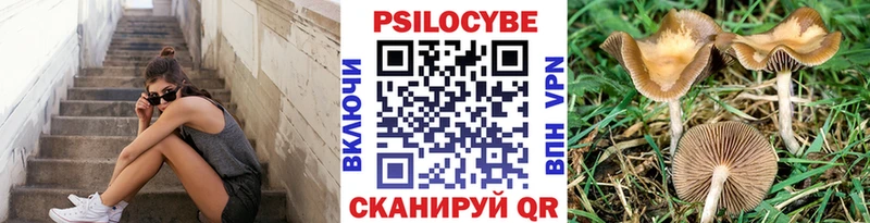 Галлюциногенные грибы GOLDEN TEACHER  Салехард 