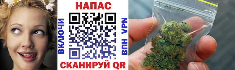 где продают наркотики  Салехард  KRAKEN сайт  Канабис VHQ 